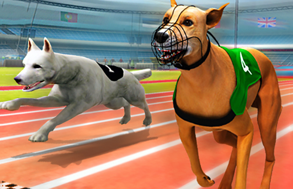 dog race online