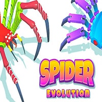 Spider Evolution