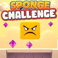 Sponge Challenge